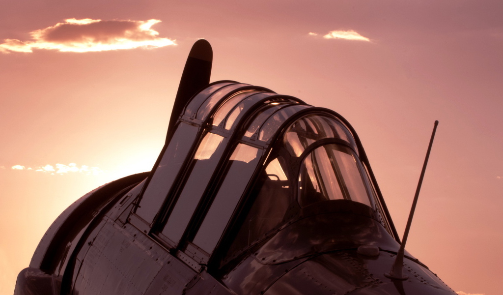 Кабина самолета