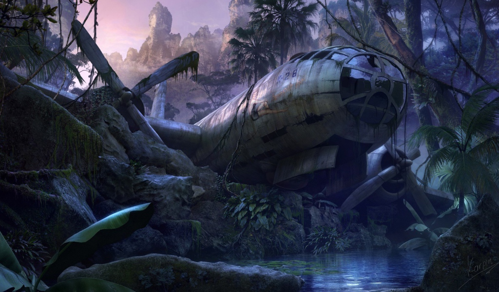 Самолет упал в джунгли