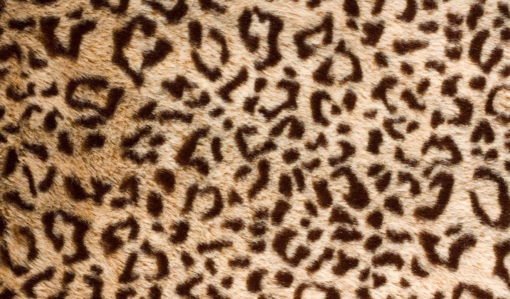 Банальный леопард