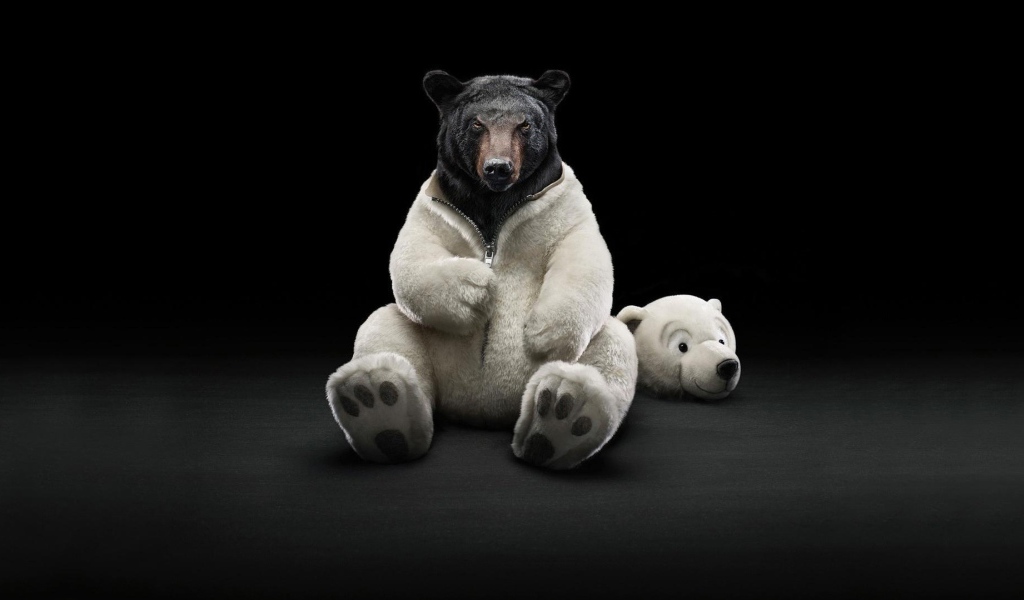 Черные обои с медведем