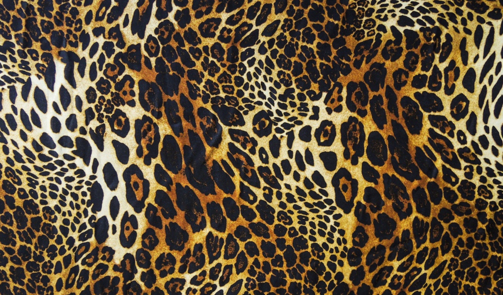 Яяркий леопард