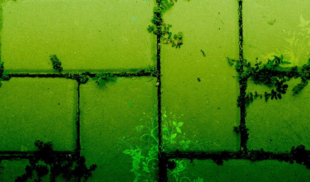 Тротуарная плитка