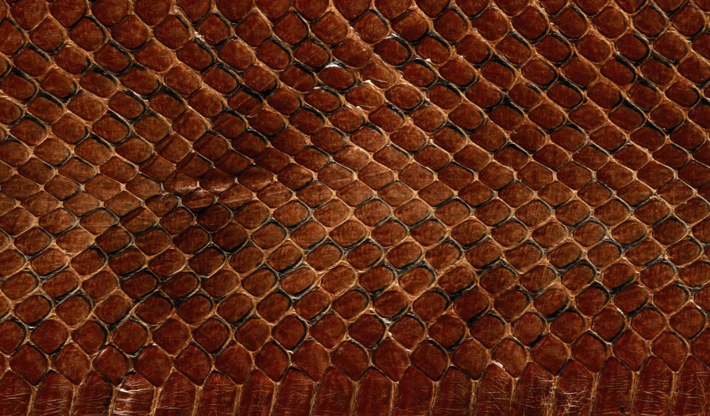 Змеинная кожа