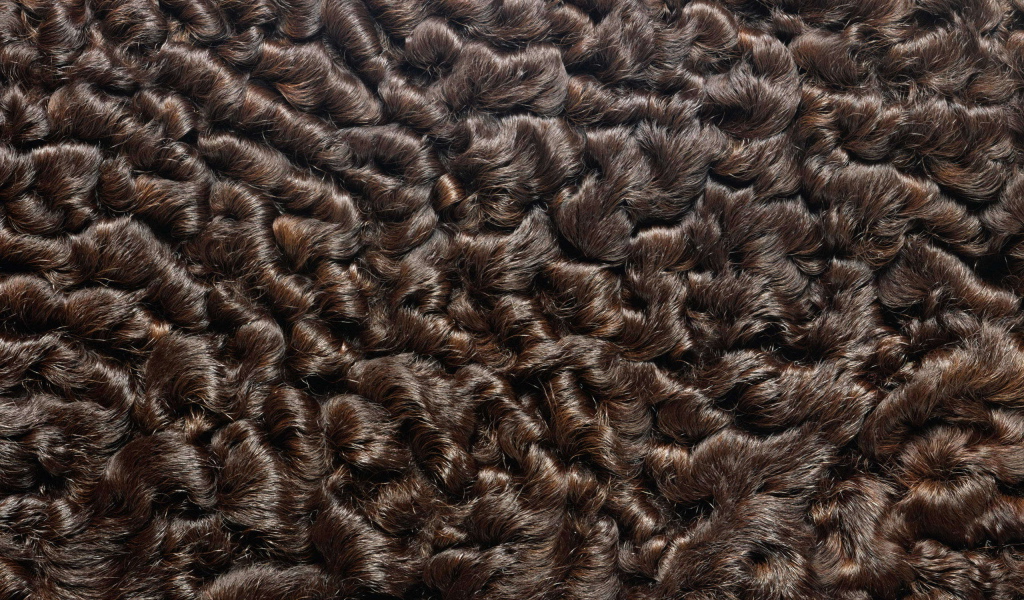 Мех каракуль