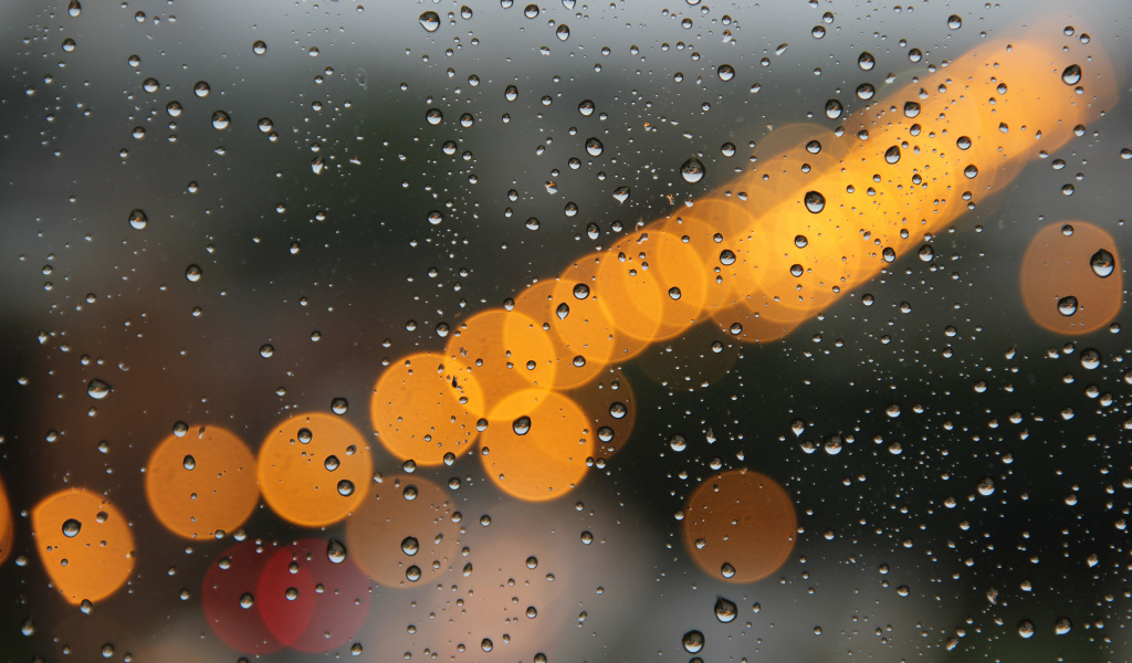Блики на мокром окне