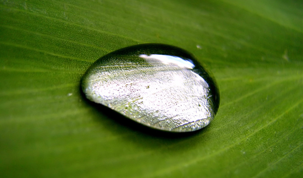 Большая капля