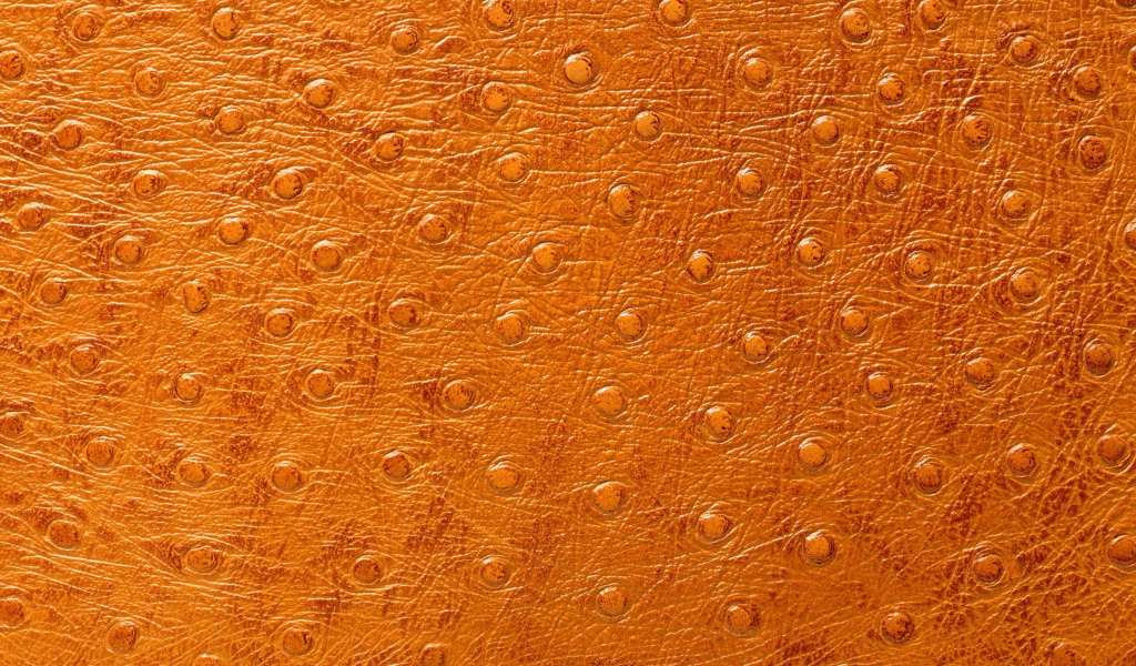 Кожа особой выделки