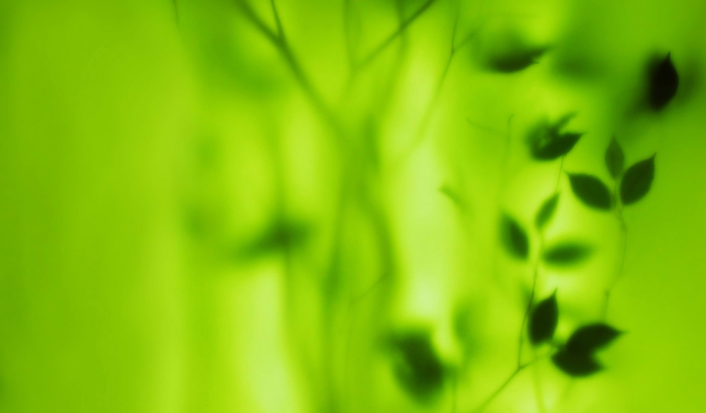 Растение за зеленым стеклом