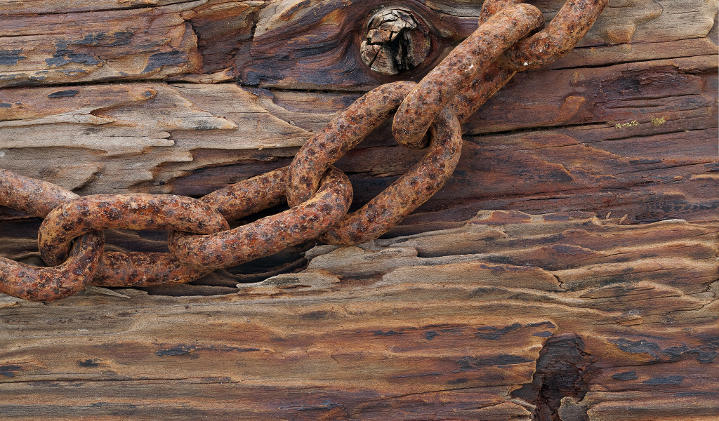 Ржавая цепь на старом дереве