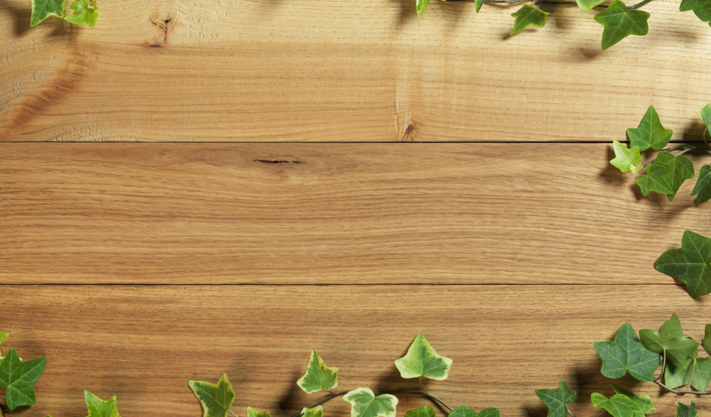 Плющ на деревянном полу