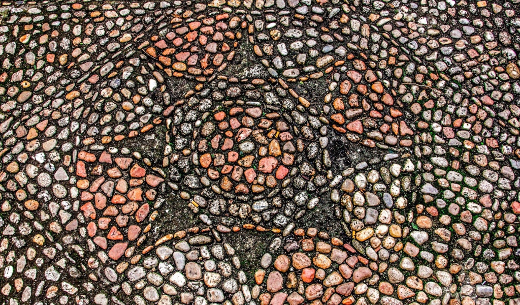 Узоры морского камня