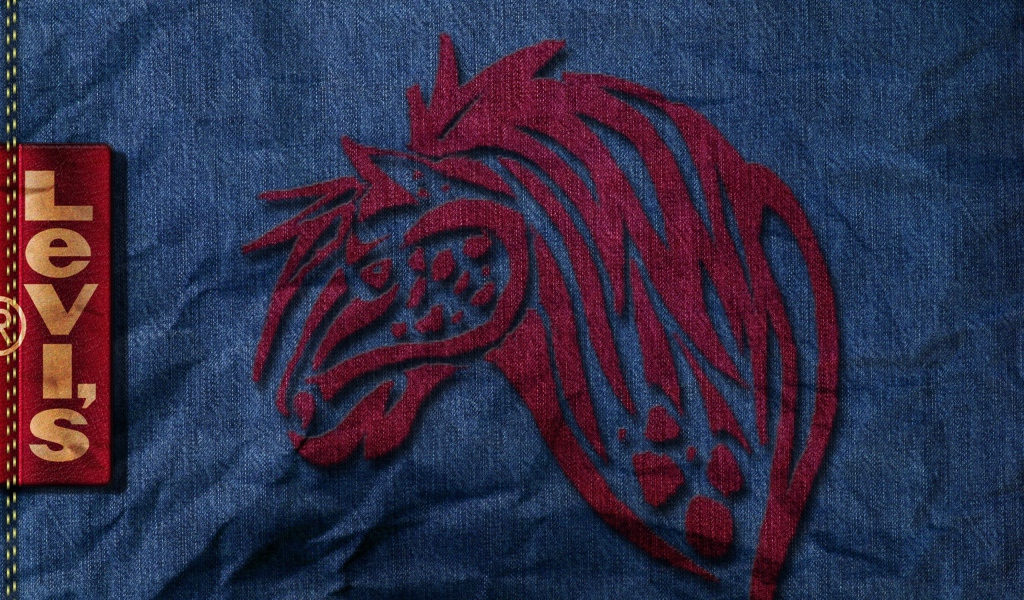 Известный бренд Levi`s