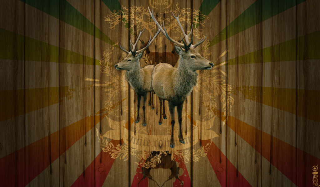 Объединение потребителей