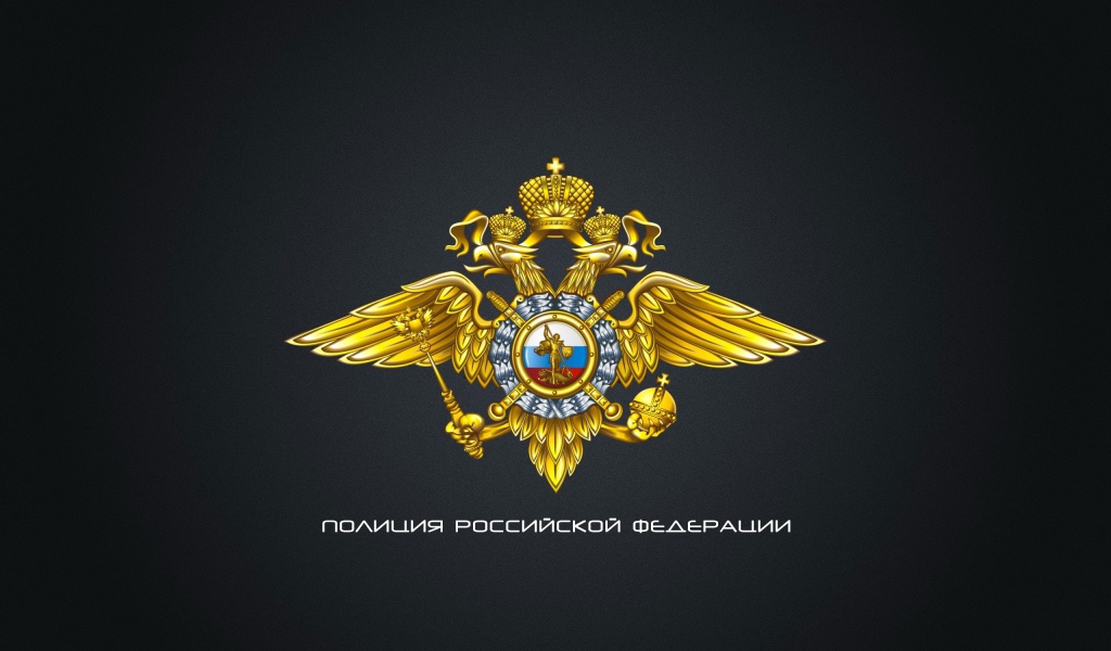 Полиция России
