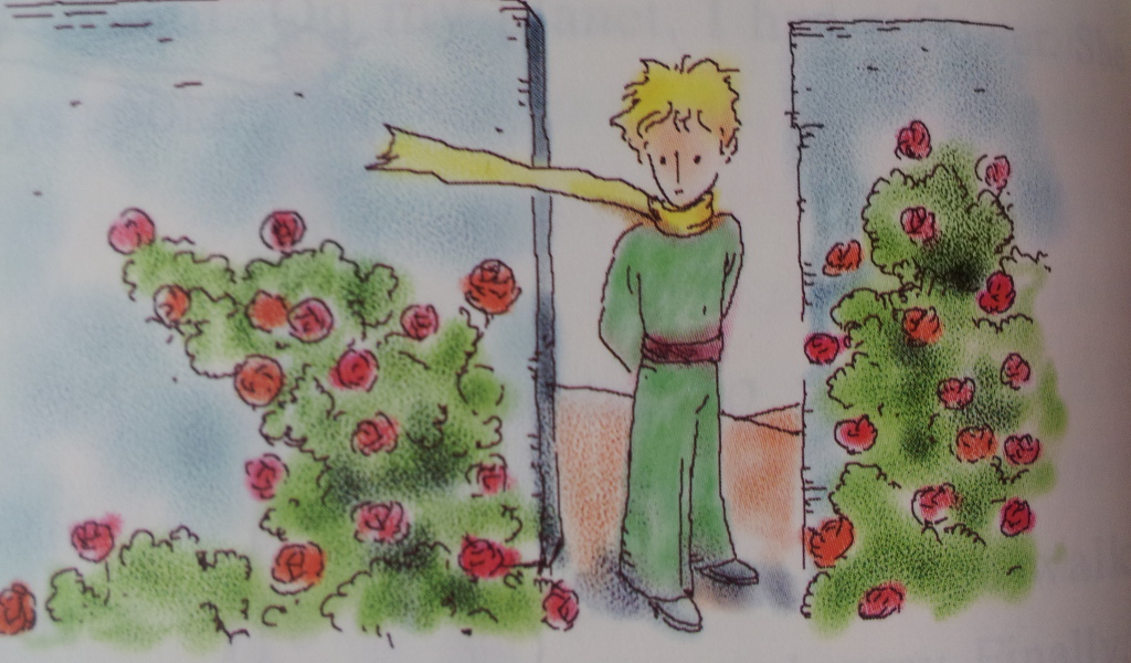 Adventures of the little prince