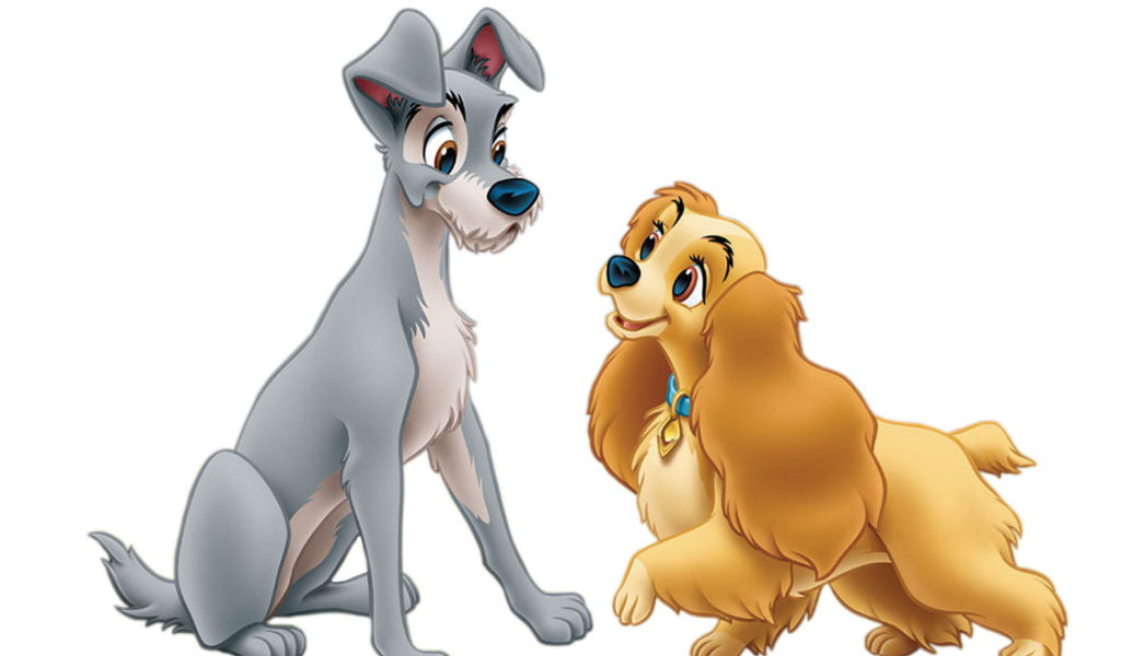 Леди и бродяга