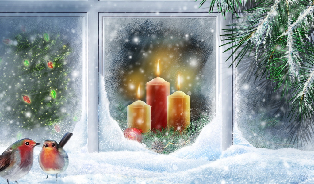 Птицы на окне в Рождество