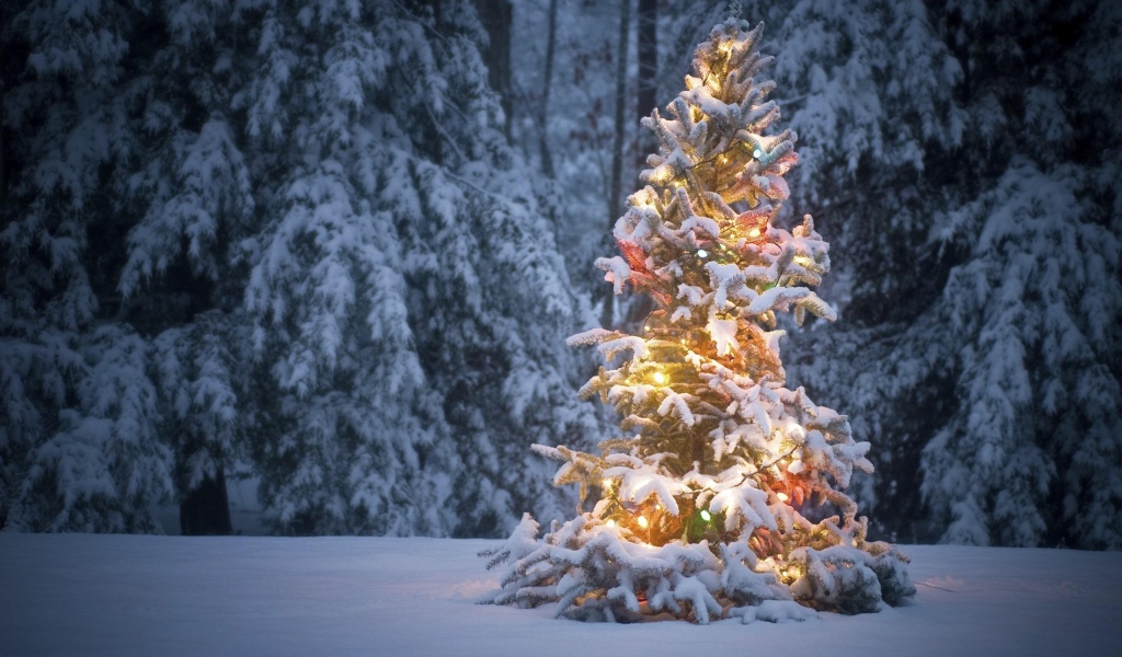 Светящеяся елка в лесу