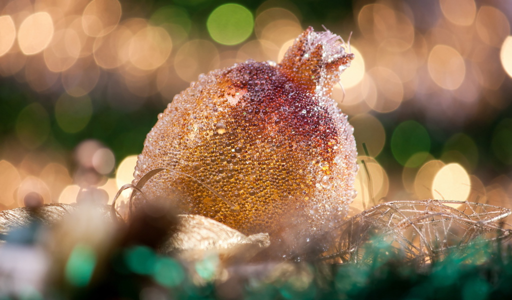 Гранат на Рождество