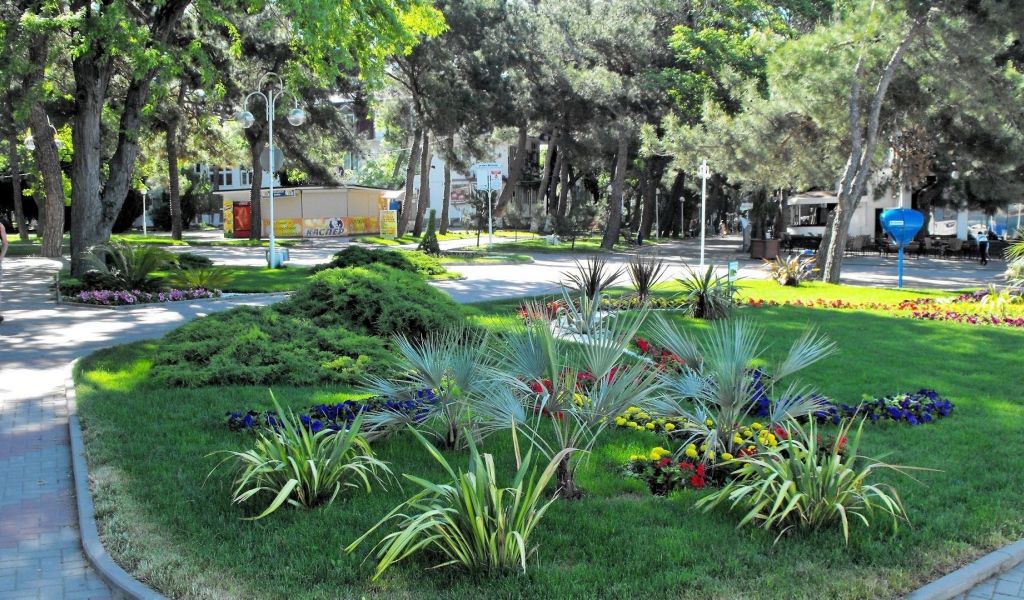 Клумба в городе