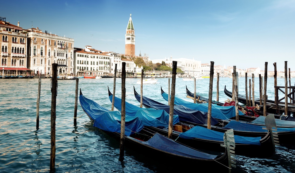 Гандолы в Венеции