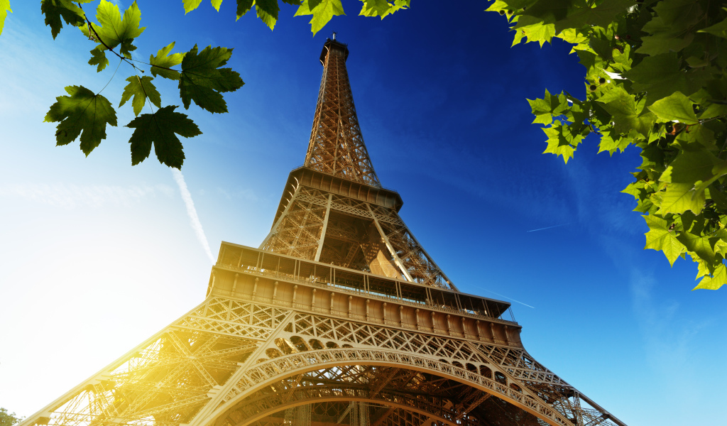 Эйфелева башня и листья дерева