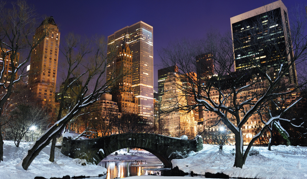 Центральный парк Нью Йорка