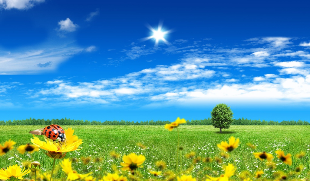 Прекрасный фантазийный мир