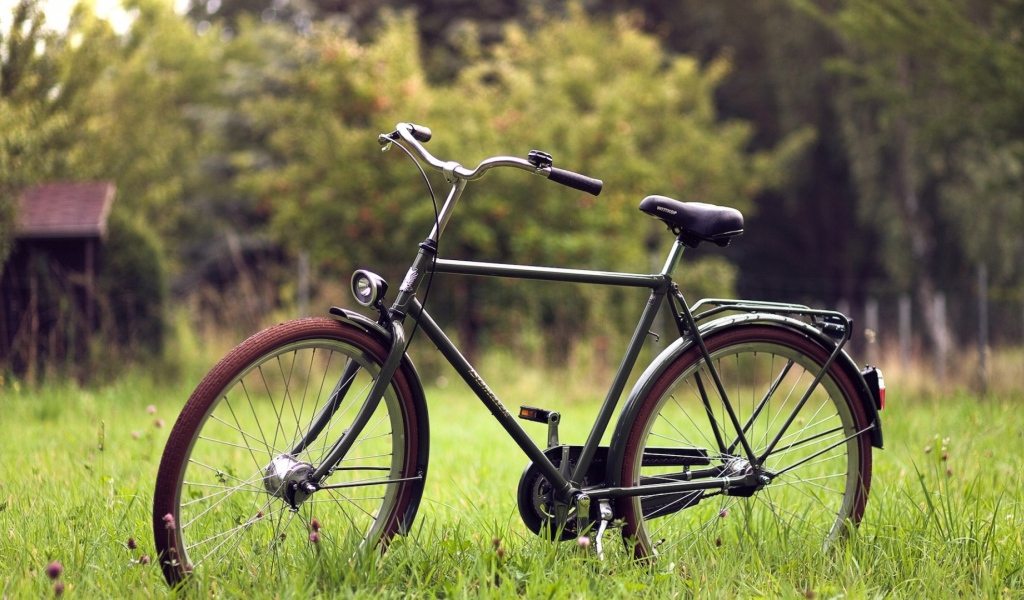Велосипед на траве