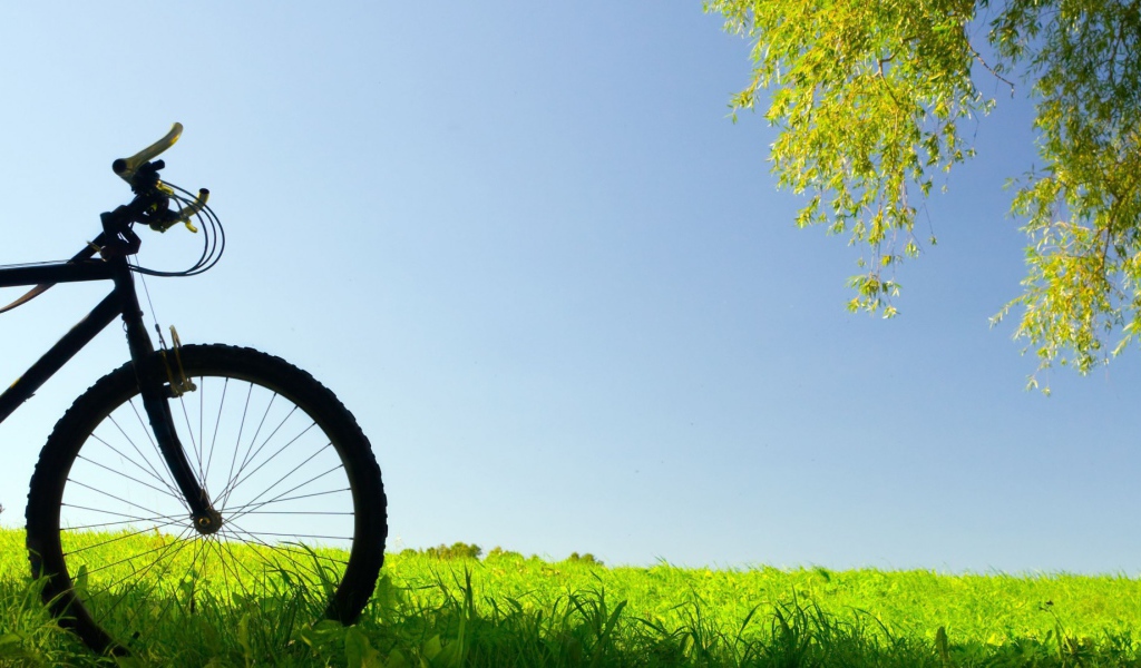 Велосипед в поле