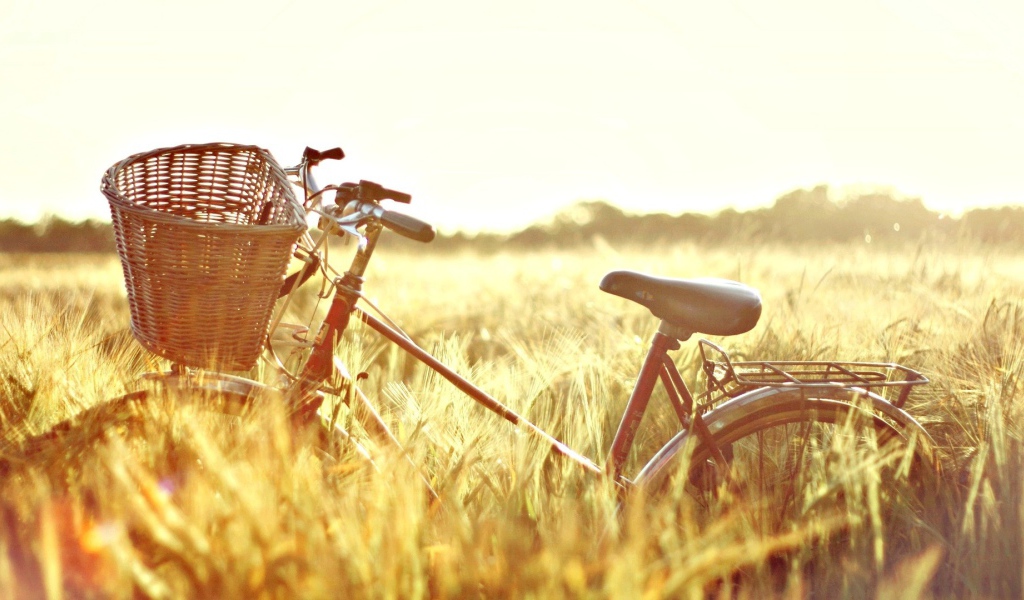 Велосипед в поле