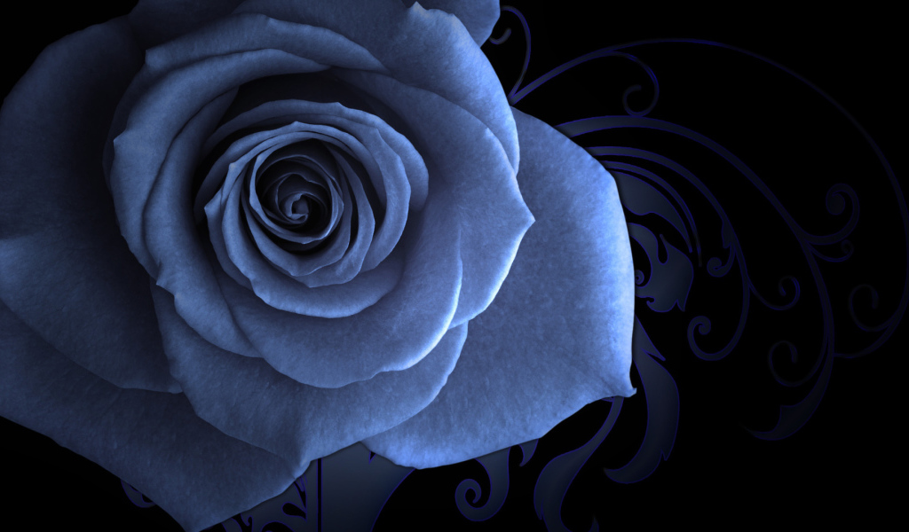 Синяя роза на красивом фоне