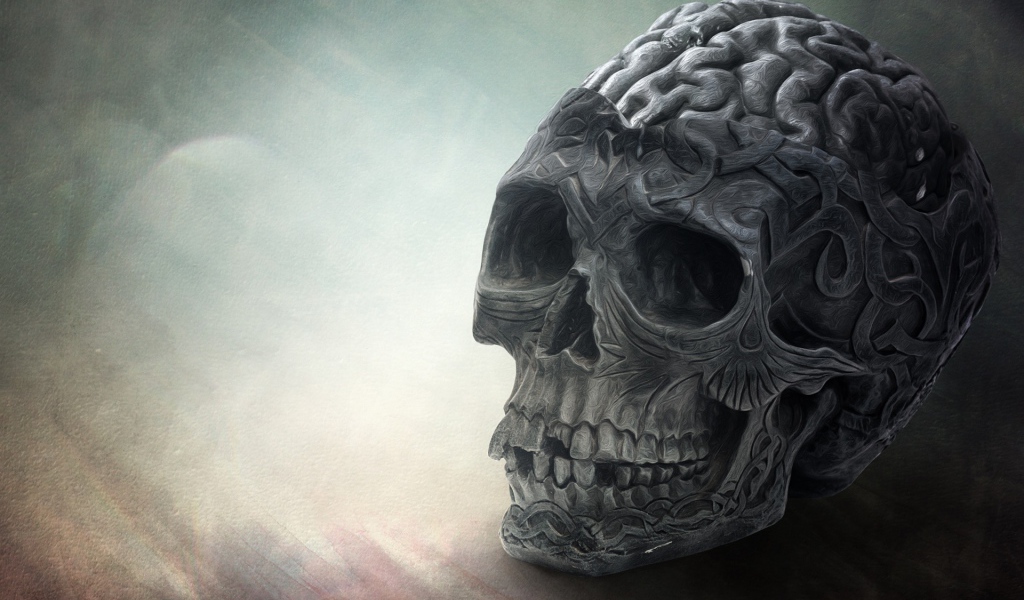 Мозг и череп