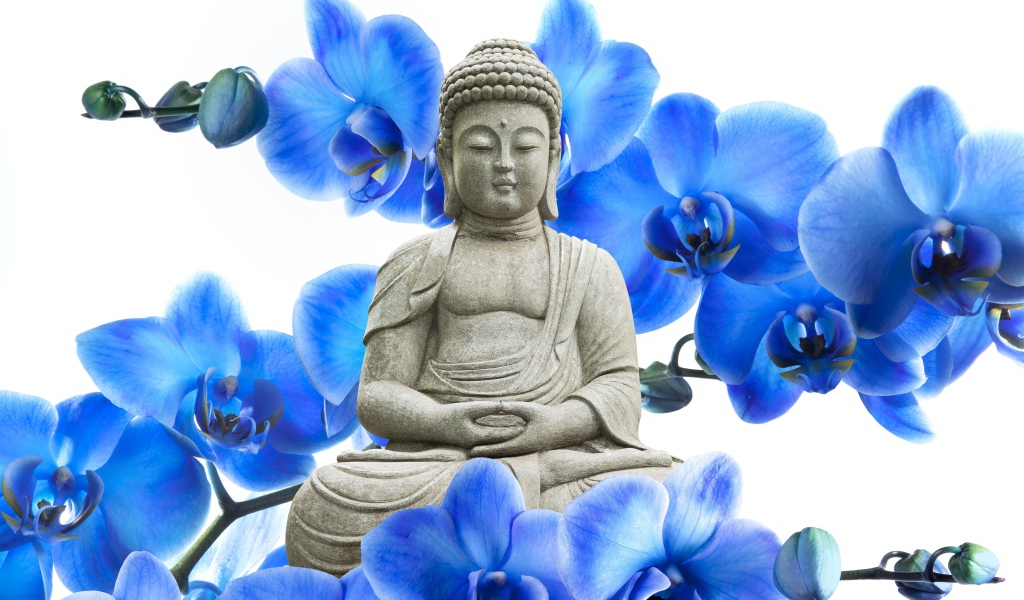 Будда на фоне цветов