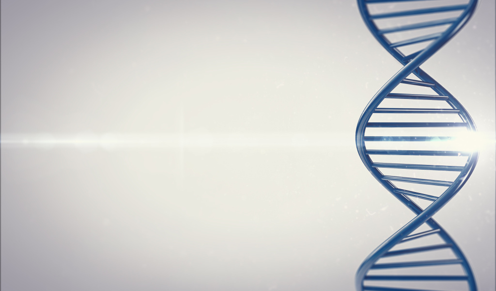 Лестница жизни ДНК