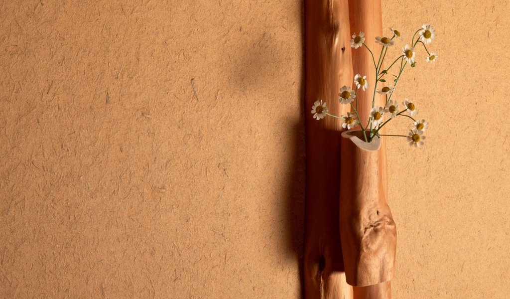 Ромашки в деревянной вазе