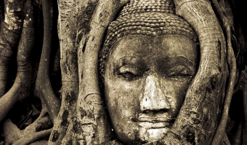 Лицо Будды в дереве