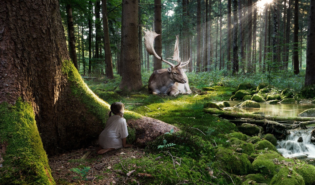 Сказка леса