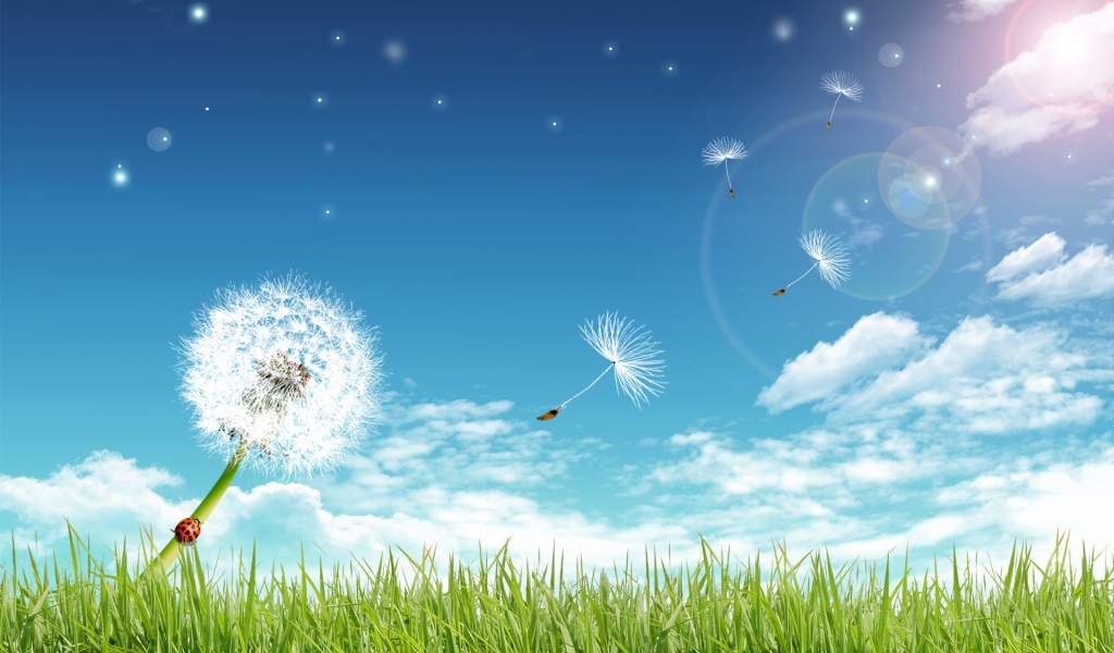 Чистые лучи солнца