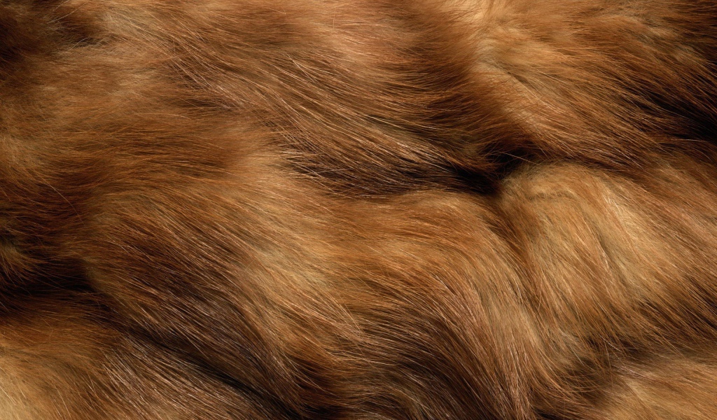 Мех животного