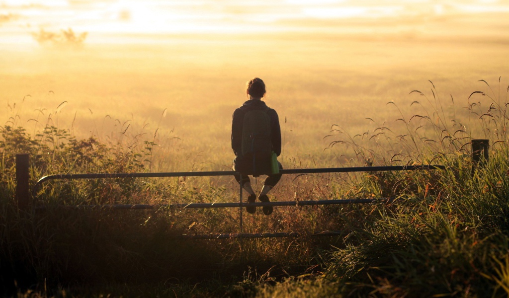 Девушка на заборе