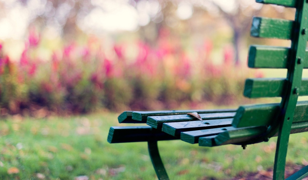 Зелёная скамейка на траве