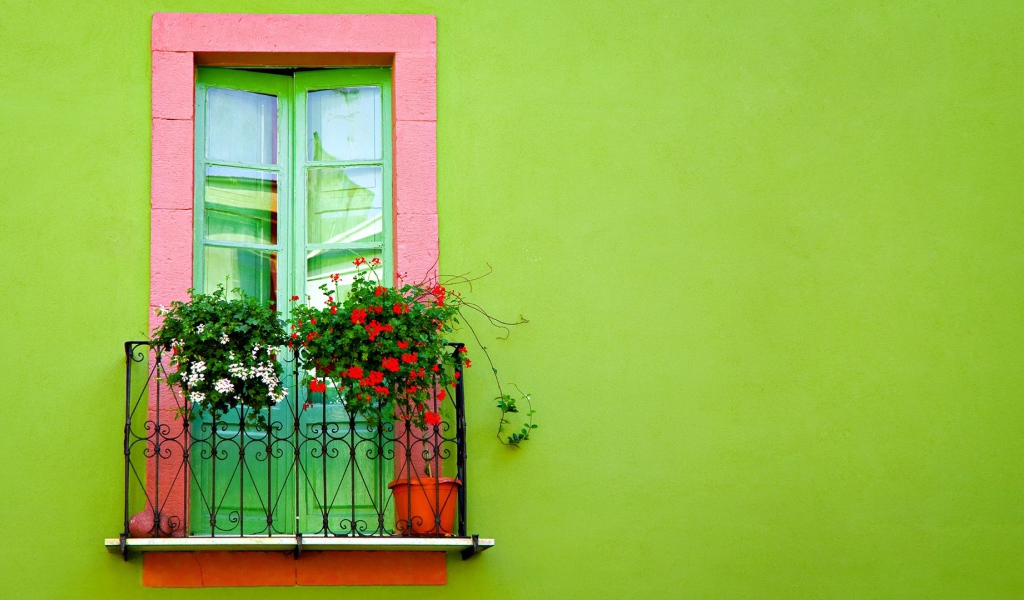 Окно на зеленой стене
