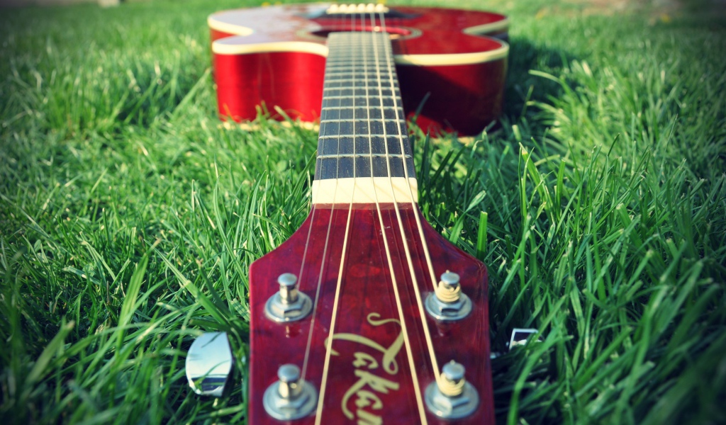 Guitar on the grass