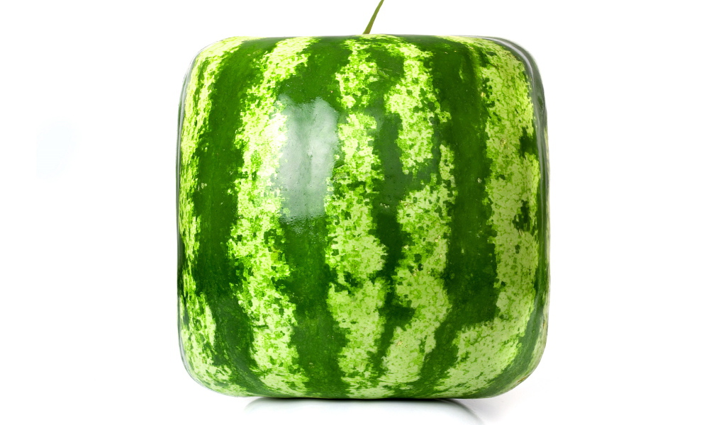 Просто квадратный арбуз
