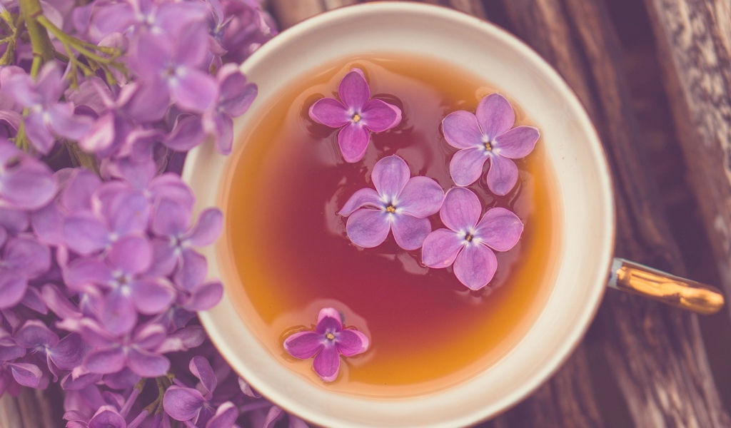 Сирень в чашке