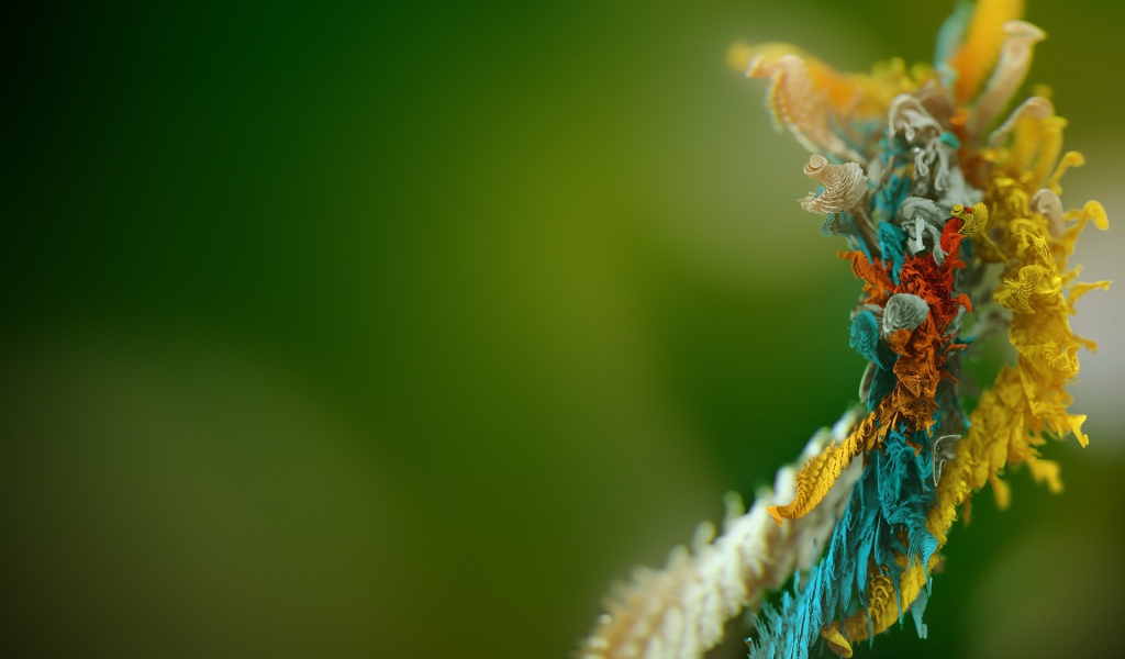 Микро объект 