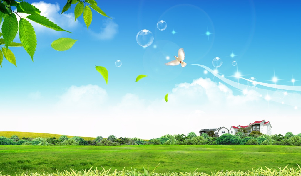 Мирная жизнь