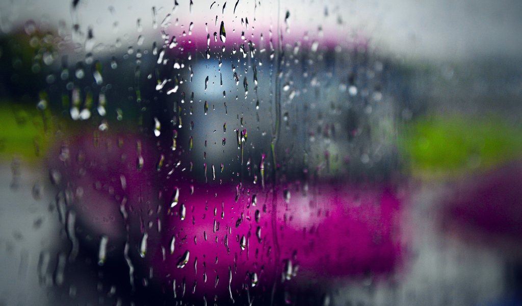 Дождливый день