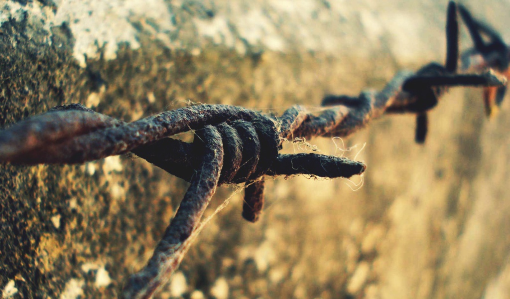 Ржавая колючая проволока